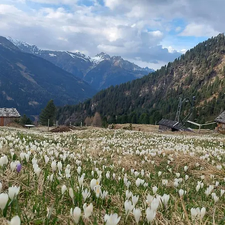 奥弗·托马斯和麦克拉的假日公寓 *