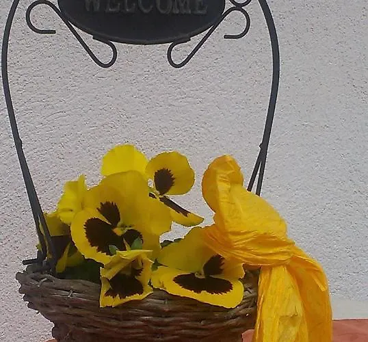 Ofer Thomas & Michaela Lejlighed Neustift im Stubaital