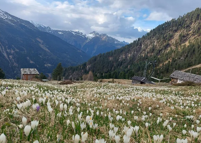 Ofer Thomas & Michaela *